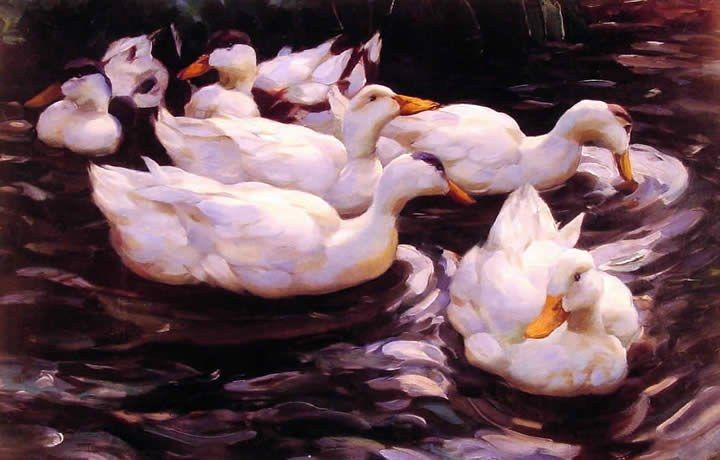 Alexander Koester Six Ducks in a Pond